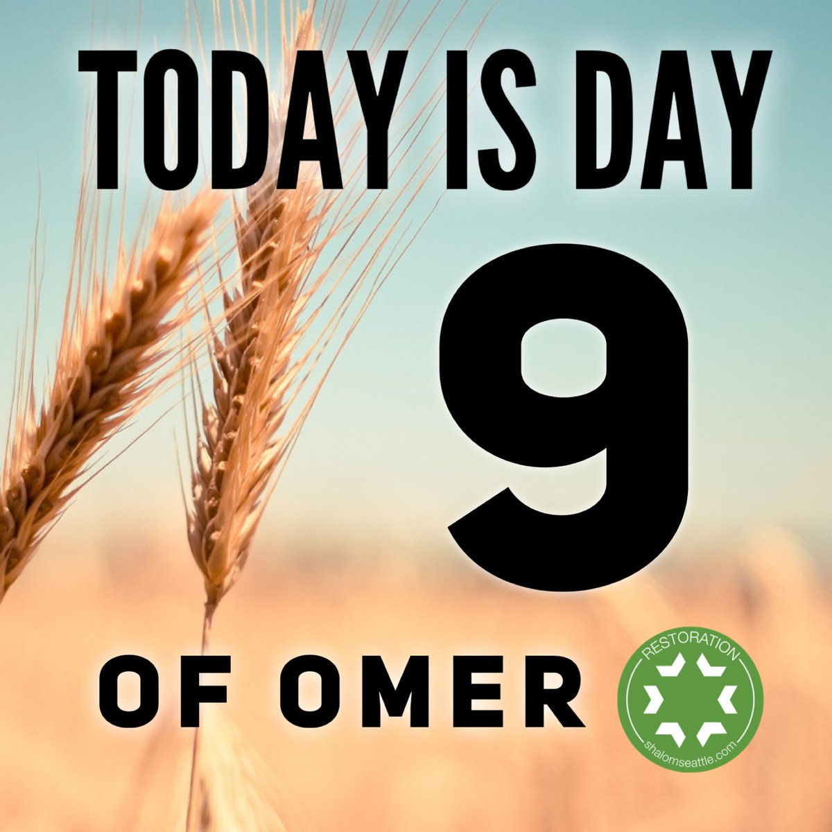 ravmatt's tweet photo. Day 9. According to Leviticus 23, we are commanded to count 50 days from Passover to Shavuot.

#passover #pesach #shavuot #pentecost #restorationseattle #jewish #messianic #jewishinseattle https://t.co/skerm3smVR