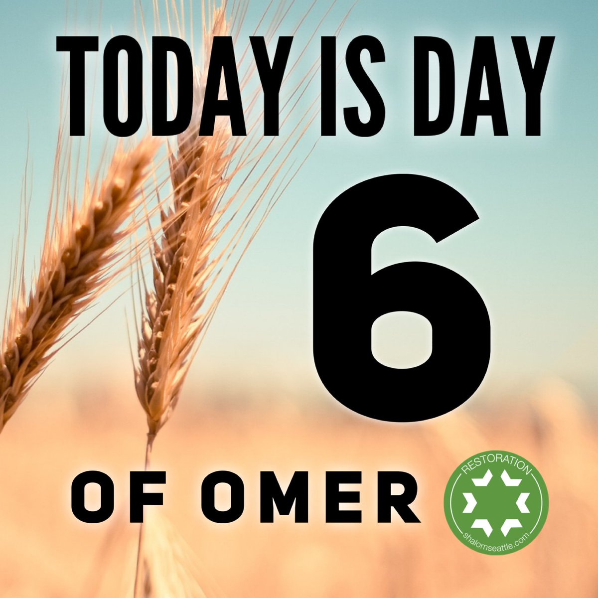 RestoreSeattle's tweet photo. Day 6. According to Leviticus 23, we are commanded to count 50 days from Passover to Shavuot.

#passover #pesach #shavuot #pentecost #restorationseattle #jewish #messianic #jewishinseattle https://t.co/ioVbKzVALH