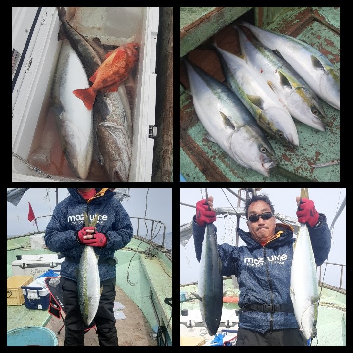 טוויטר 新潟 間瀬港 東間 釣り船 ゴチ網 活魚販売 漁師 בטוויטר 4 18 鰤 ワラサ イナワラ マダラ アラ マゾイ 沖メバル ハナ鯛 カレイ ホッケ マフグ 青物4 0匹 今日も青物 元気 バラシも多く残念 初心者船長指導中にhit 超絶嬉しい 青物狙い