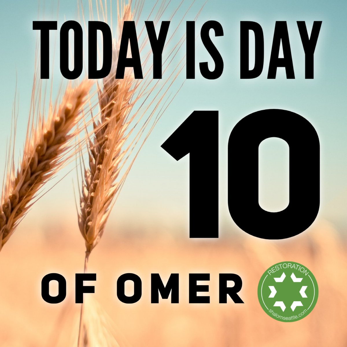 ravmatt's tweet photo. Day 10. According to Leviticus 23, we are commanded to count 50 days from Passover to Shavuot.

#passover #pesach #shavuot #pentecost #restorationseattle #jewish #messianic #jewishinseattle https://t.co/mk7AlxbUys