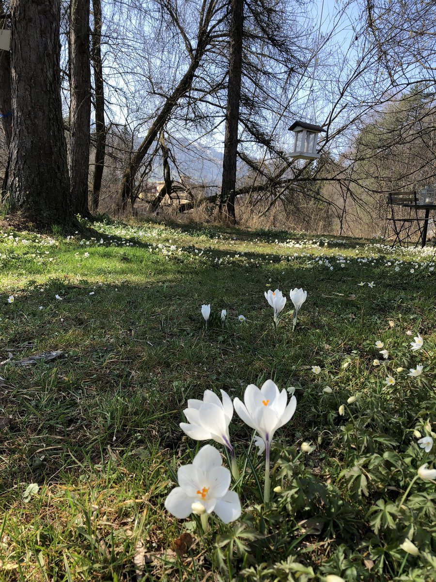 ManuH17068685's tweet photo. Das #Zitat
Der #Edle strebt nach Harmonie, nicht nach Gleicheit.
Der Gemeine strebt nach Gleichheit, nicht nach Harmonie.
#Konfuzius (551- 479 v. Chr.) #TeamEpochTimes https://t.co/35lXl6hwqB