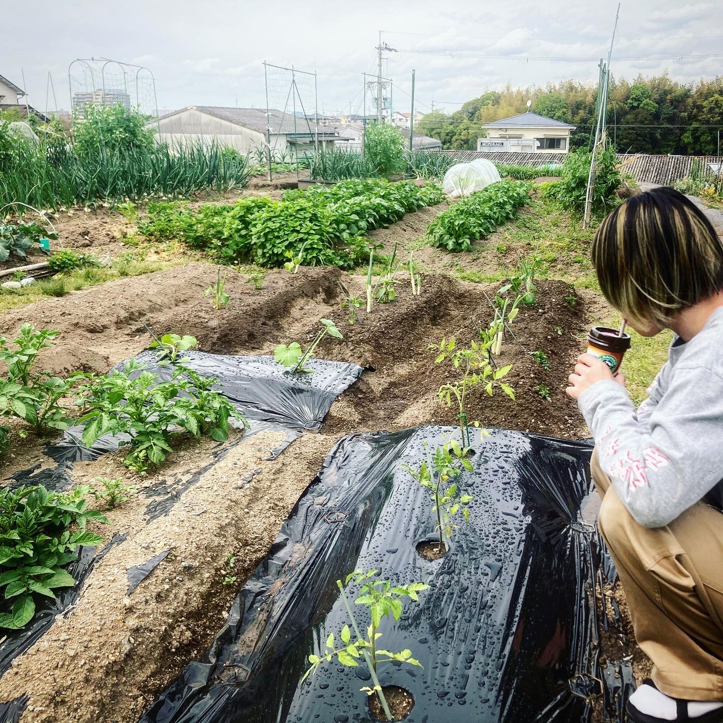 サコウイサオ ハレルヤ サコーンズ 昼休憩 畑水やり 癒されるな 午後診もがんばろ ひよこ農園 T Co Sq0ub6yytq Twitter サコウイサオ ハレルヤ サコーンズ 昼休憩 畑水やり 癒されるな 午後診もがんばろ ひよこ農園 T Co Sq0ub6yytq Twitter