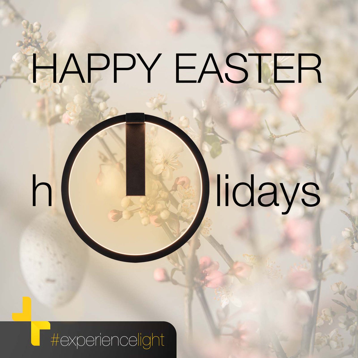 Joyeuses Pâques 🐣💡🐰

Profitez de cette fête avec vos proches et passez un moment agréable !

#slv #experiencelight #paques #fete