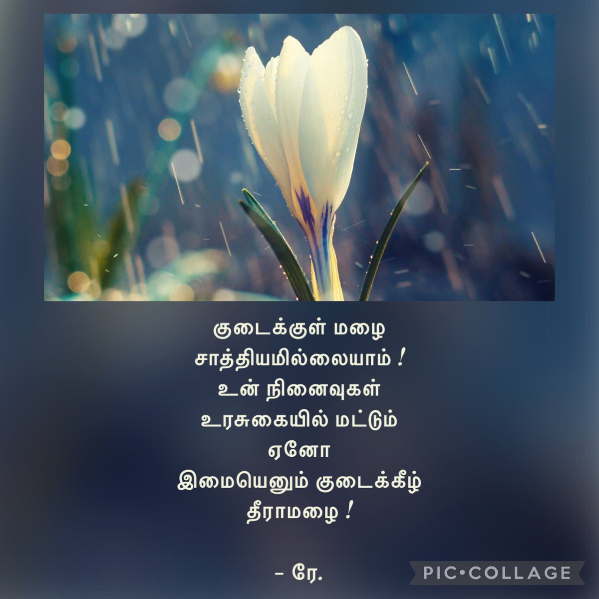 MommyofRitz's tweet photo. #Re_writes
அன்பிற்கும் உ���்டோ அடைக்குந்தாழ் !? ❤️ https://t.co/1ExiwN3pKQ