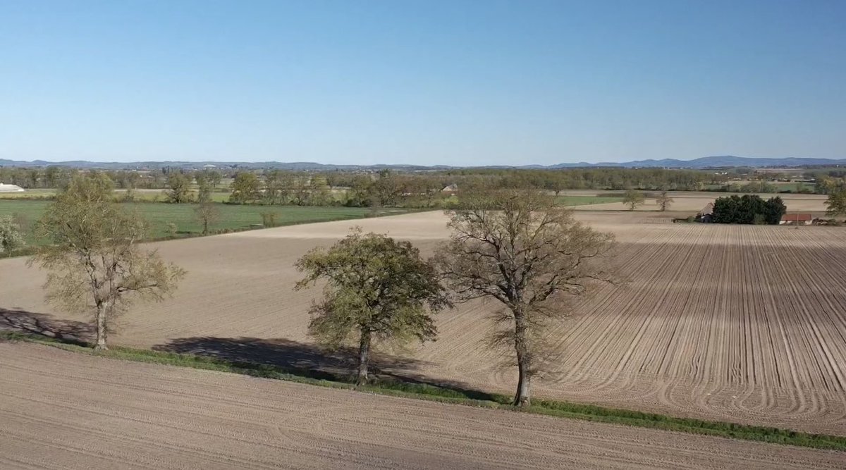 Les semis de maïs, c’est commencé également ! Les terres les plus compliquées sont faites! ✅🌽 <a href="/FieldViewFrance/">FieldView France</a> <a href="/KvernelandGroup/">Kverneland Group</a>