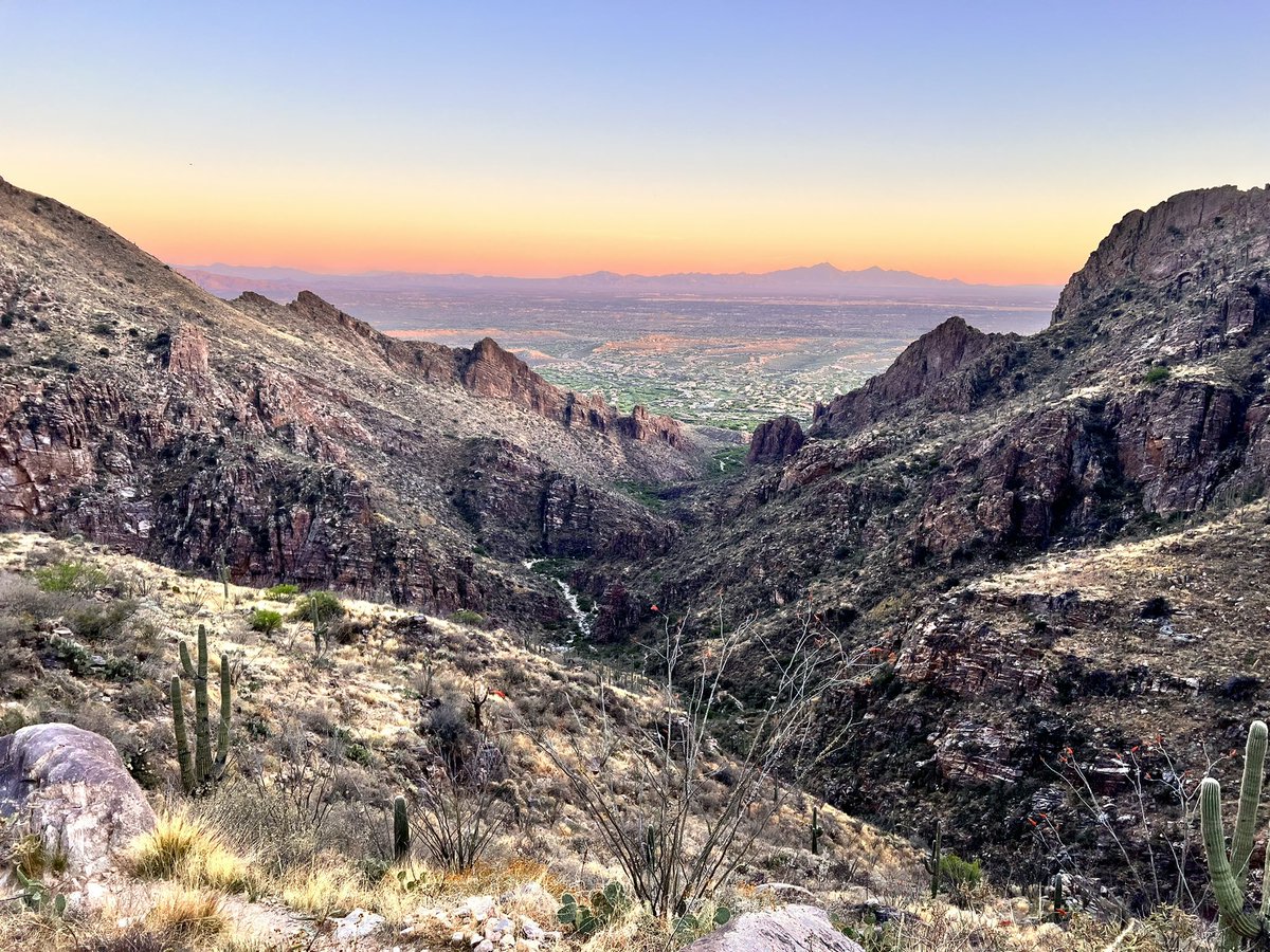 Ryan Palsma tweet media