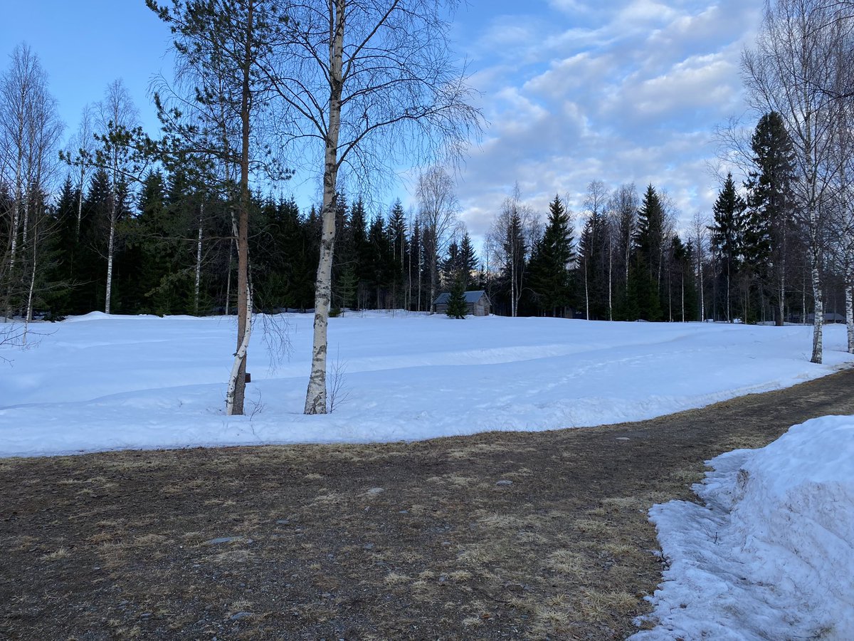 katjajrasanen's tweet photo. 33 - spring is rapidly advancing, snow retreating (ice not yet) -
Sound: Eurasian blackbird
Sight: Yellowhammer
and #FirstOfTheYear : Redwing &amp; Black grouse’s joyful gurgle
#FirstOfTheDay #FendingForLight #birds #StayPositiveButDontForget #PeaceForUkraine https://t.co/w5fVa1rKZr