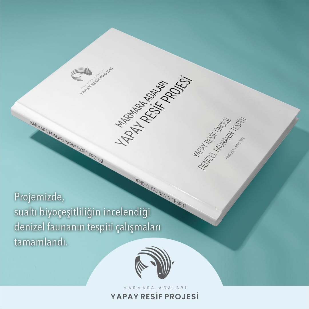 Resifler atılmadan önce 4 mevsim denizel fauna tespiti araştırmamızı tamamladık. Bölgedeki biyoçeşitliliğin incelendiği araştırma raporunu Tarım Bakanlığı’na sunduk.

Adım adım finale doğru ilerliyoruz!

#yapayresifler #marmaraadaları
<a href="/tarimgovtr/">GıdaTarımHayvancılık</a> <a href="/csbgovtr/">T.C. Çevre, Şehircilik ve İklim Dğş. Bakanlığı</a> <a href="/gundogduder/">Gündoğdu Köyü Güzelleştirme Derneği</a>