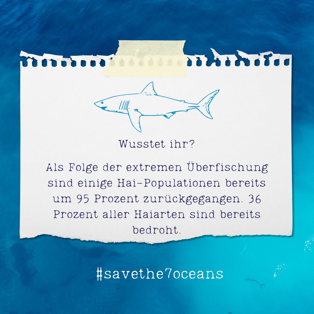 SkytradersC's tweet photo. Wusstet ihr, dass durch die Überfischung einige Hai Populationen, um 95%!!!! zurückgegangen sind?
Helft uns die Weltmeere zu retten!
https://t.co/TTyKRXkk2C
#7oceans #skytraders #nft #charity #cooperation #farming #7oceanscoin #news #savethe7oceans #chrisredl https://t.co/BJhzU56gU0