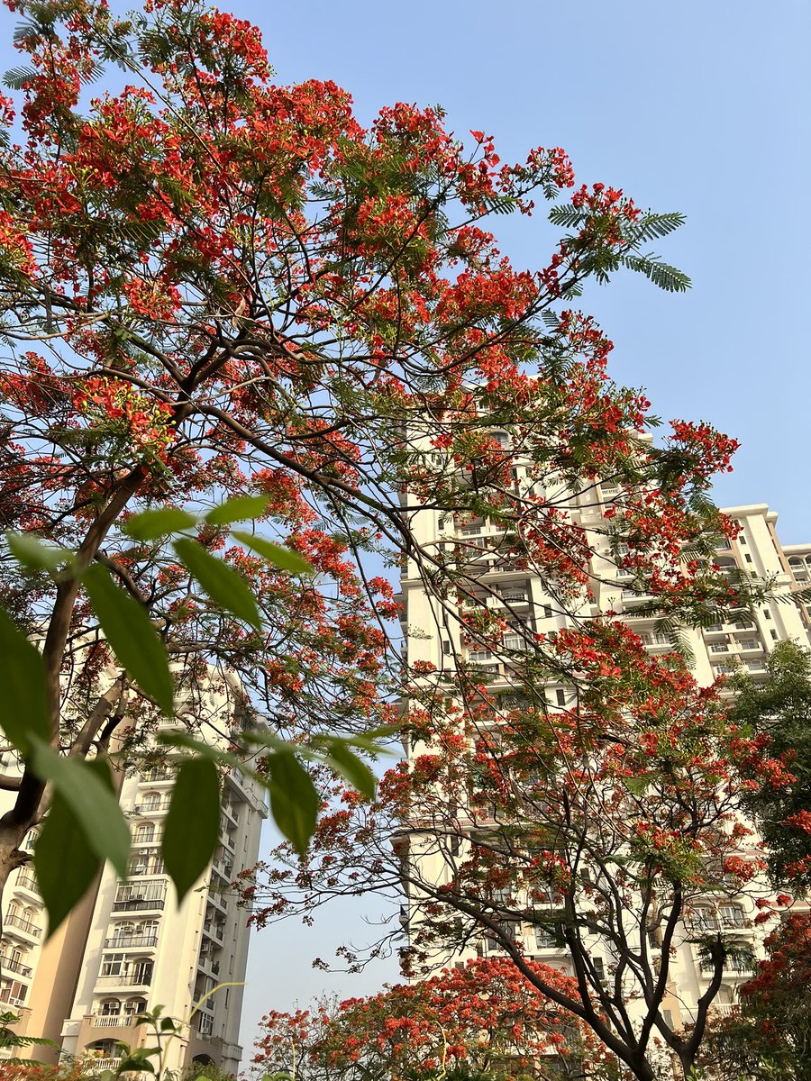 ChahatAbrol's tweet photo. thought this was worthy of some #peakgurgaon https://t.co/LsQvT7vk3M