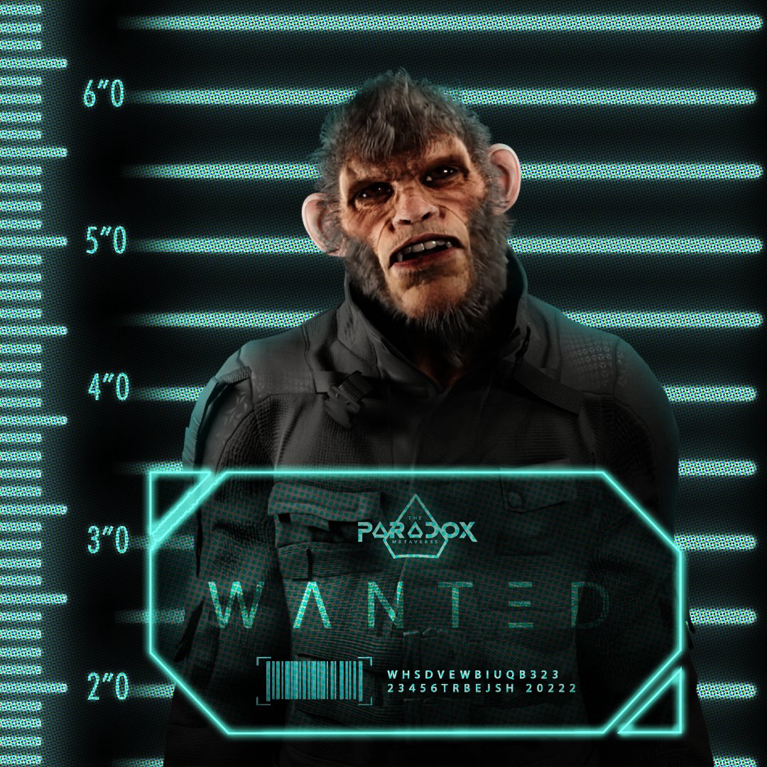 The Paradox Metaverse tweet media