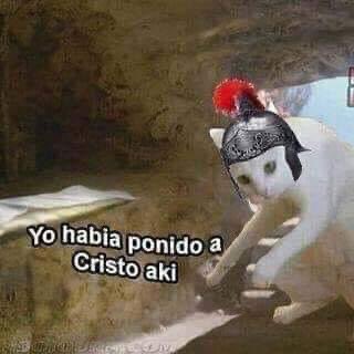 Susankat_Sc's tweet photo. Jajajaja on ta? https://t.co/ry2BYTZkj2