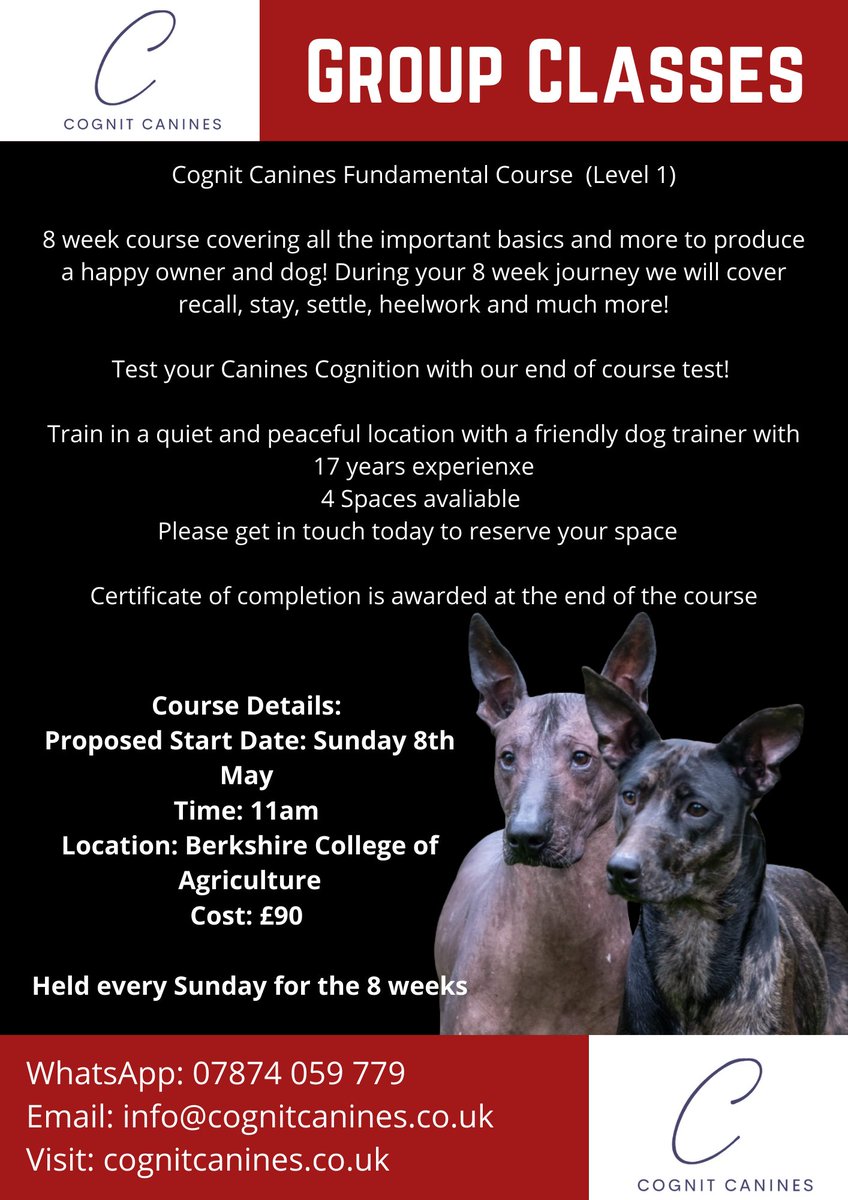 Cognit Canines is now offering group classes! Small classes for the optimum experience, in the 8 weeks you will learn all the basics for a well rounded canine. Get in touch today to reserve your spot! #dogtraining #wokingham #bracknell #dog #dogobedience https://t.co/qO1tjrsZzt