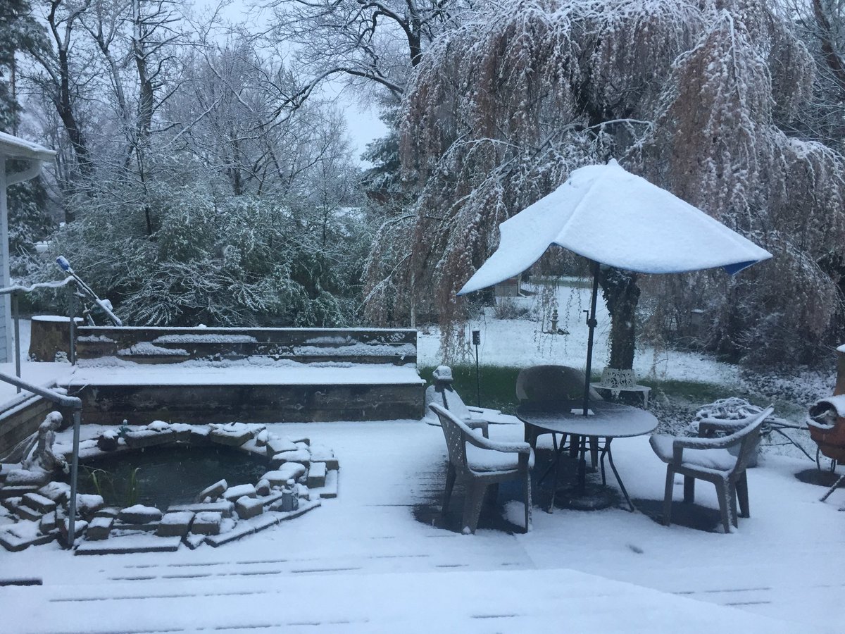 Tim Evans tweet media