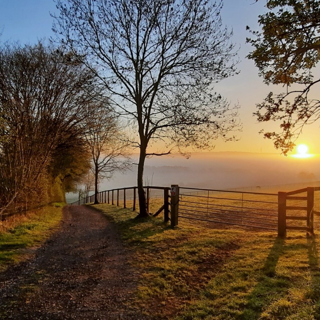 akajools's tweet image. No description needed....Start the day right 😇🥰

#GoodMorningTwitterWorld #BankHoliday #Easter2022 #countrylife #walking #viral #goodmorning #Fresh #forsale #canvas #Trending