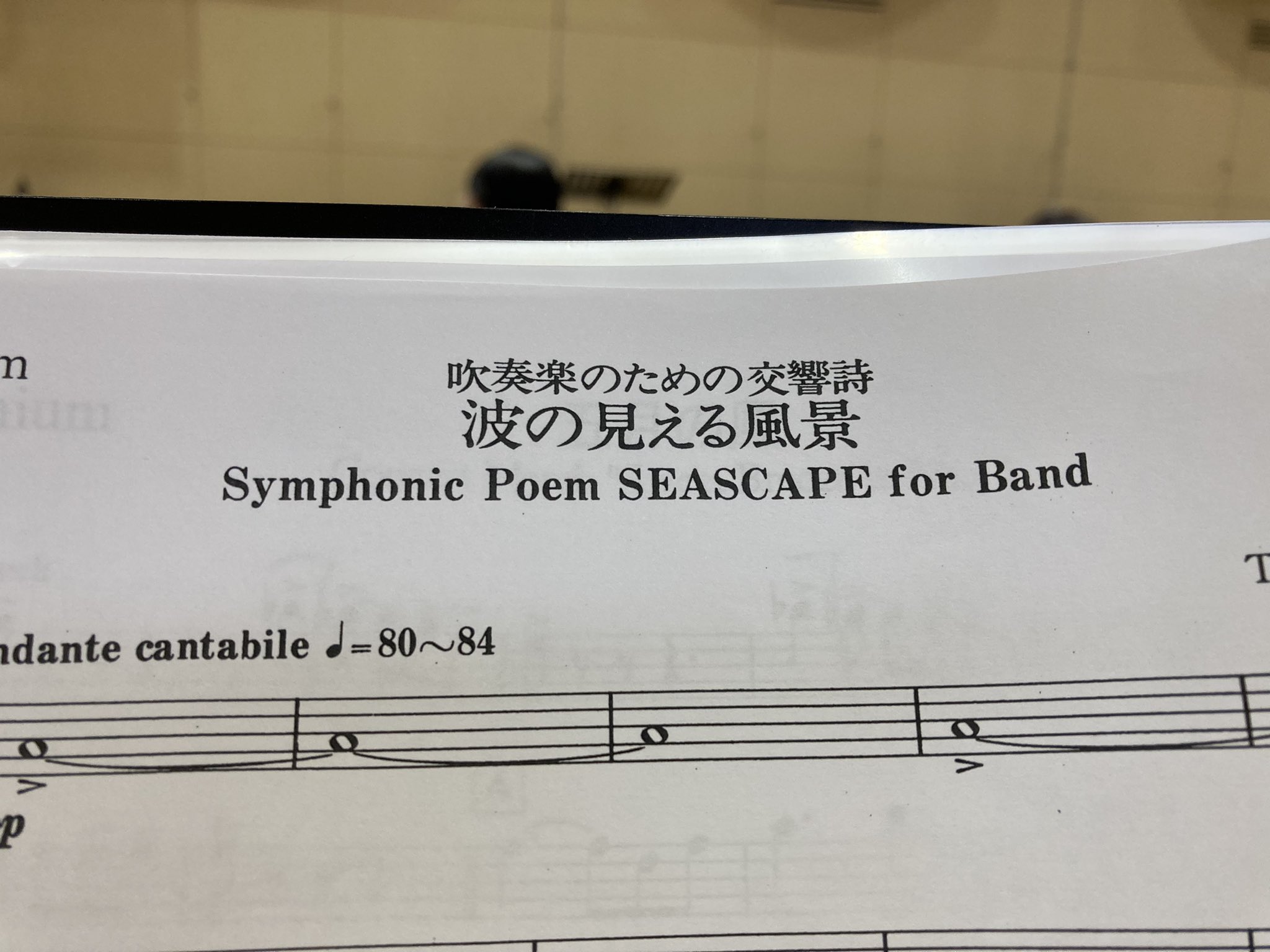 札幌吹奏楽団 演奏曲 今回の市民バンドフェスティバルは作曲家 真島俊夫さん特集 当団は過去の課題曲2曲を演奏 波の見える風景 五月の風 オシャレな和音がたくさん使われており 綺麗に響かせるのが難しいです 五月の風は8分の6拍子のマーチで普通の