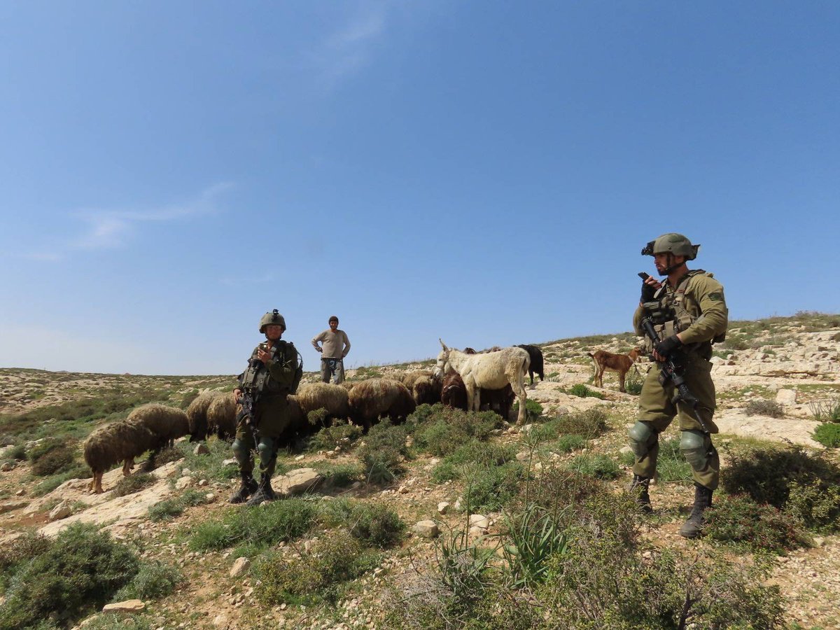 Operation Dove tweet media