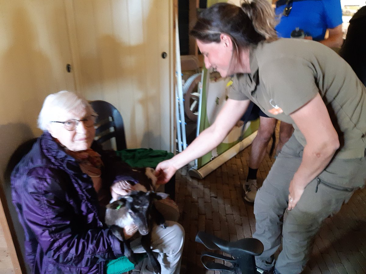 karinkos1's tweet photo. Mijn moeder heeft voor de eerste keer in 81 jaar een lammetje op schoot bij het fantastische Lente feest van GNR. #mooigooi #schaapskooiBlaricum https://t.co/gAxoIg2Inm