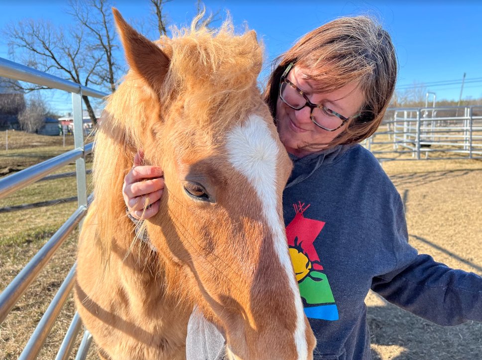 This morning we're learning about the Ojibway Spirit Horses on Madahoki Farm in Ottawa. Here's a photo!