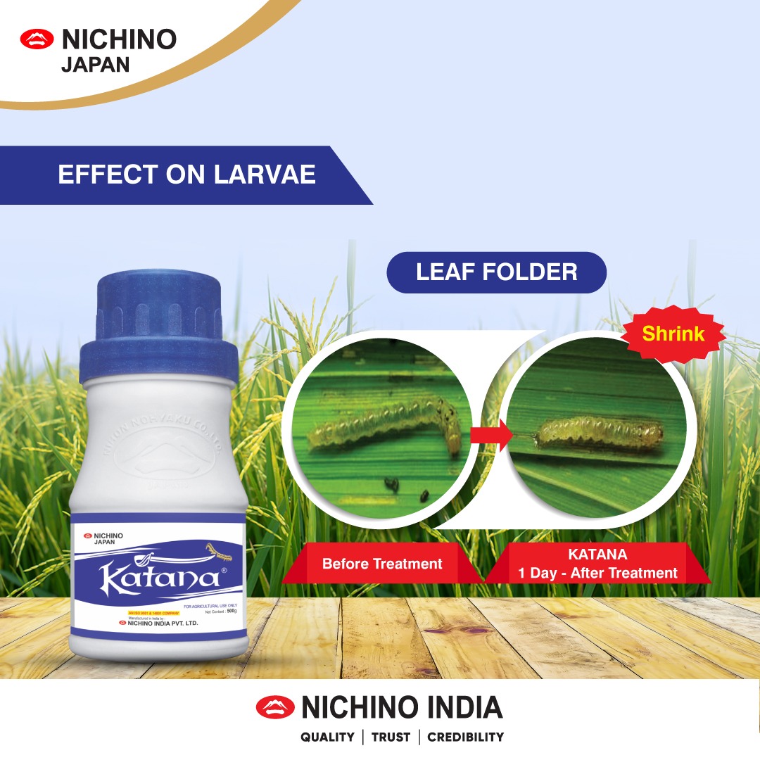 NichinoIndia's tweet image. Katana - Effects on Larvae
Katana helps to control the Leaf Folder
#NichinoIndia #Katana #BetterControl #Larvae #LeafFolder