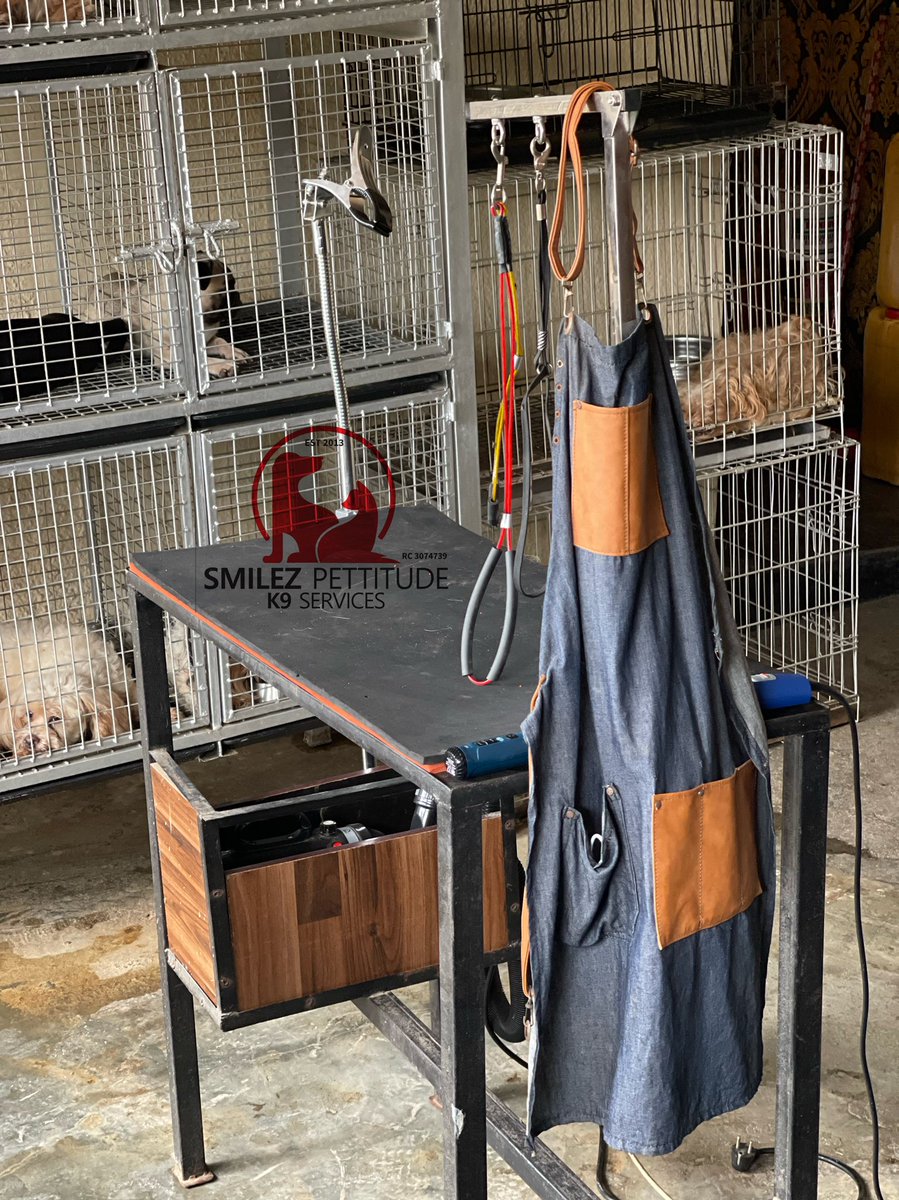 smilezpettitude's tweet photo. I'm confident to say that if you want to grow in a profession, consistency is the key... I'm strict about my work goals and training.
#dogloversofinstagram #doggrooming #groomingsalon #consistency #doglover #groominglife #grooming https://t.co/soydMzYnhh