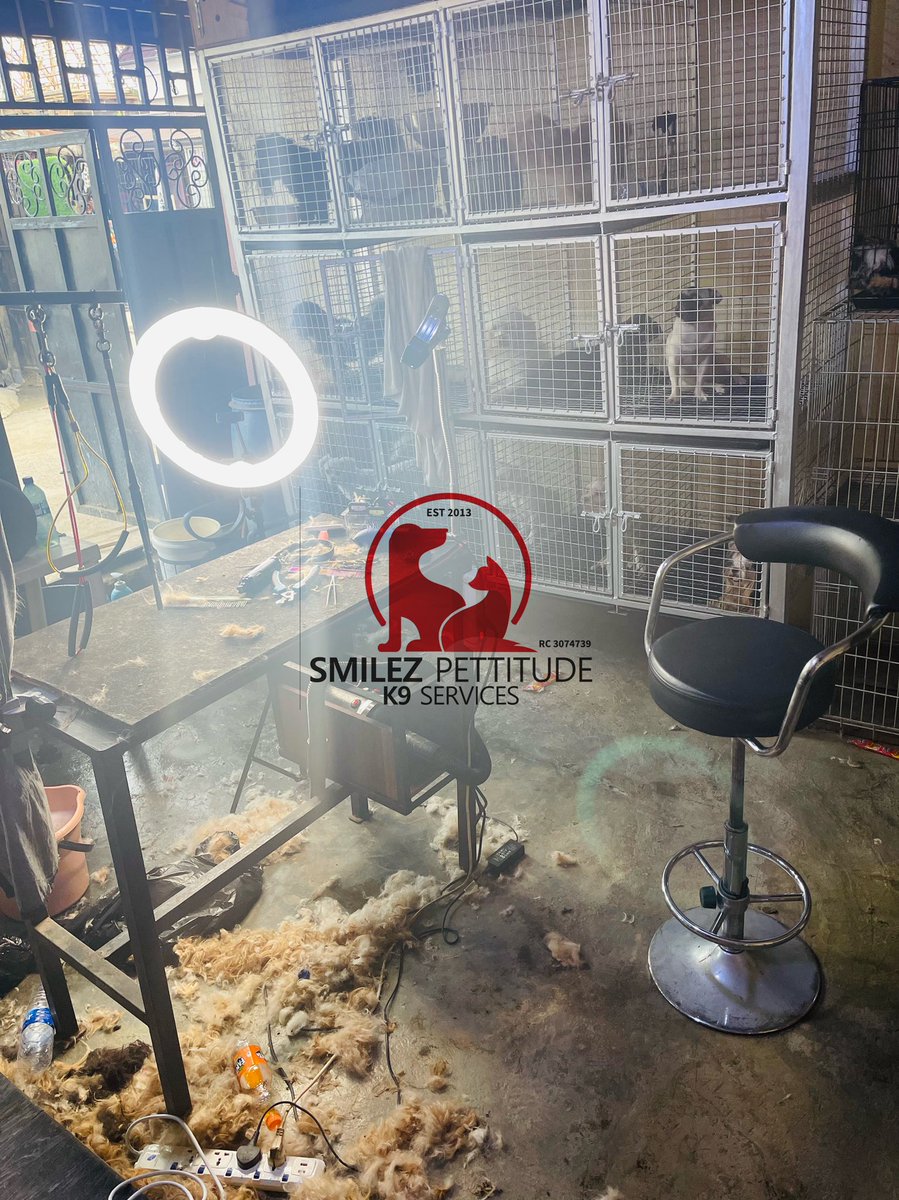 smilezpettitude's tweet photo. I'm confident to say that if you want to grow in a profession, consistency is the key... I'm strict about my work goals and training.
#dogloversofinstagram #doggrooming #groomingsalon #consistency #doglover #groominglife #grooming https://t.co/soydMzYnhh