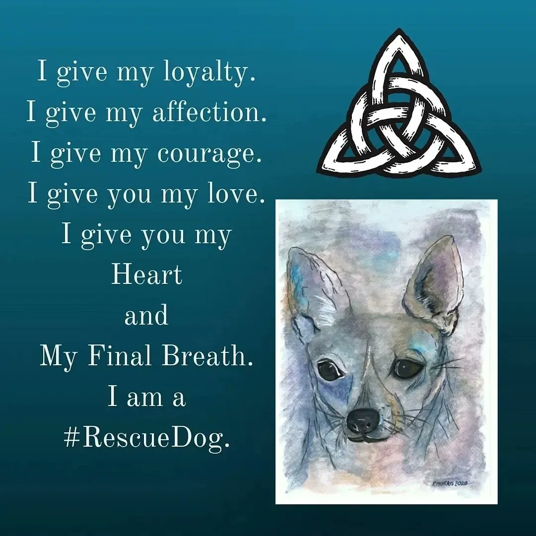 MogRagga's tweet photo. @FemaleBizNet Hi #fbnstar . I'm Paula, an artist who raises awareness for animal welfare and endangered species. I also want an end to #backyardbreeding. I saw the damage from unethical breeding in my rescue dog, Marley, and I'm creating a book to highlight this. #WomenInBusiness #MHHSBD https://t.co/8RntmdYgog