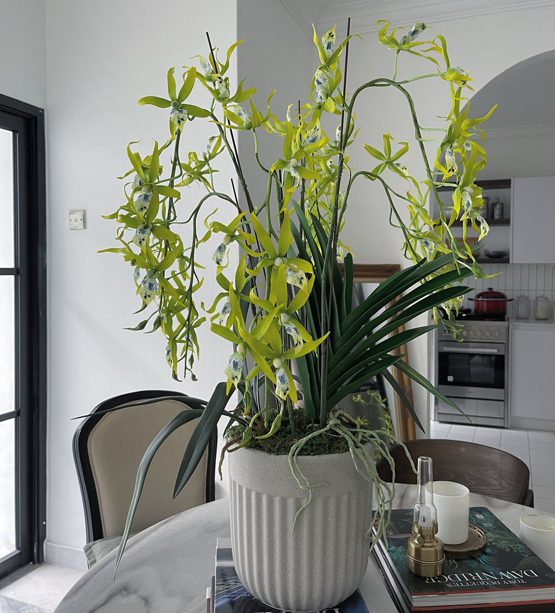 Fleursdeco_'s tweet photo. Rare Orchid for Raya 2022 https://t.co/6LN2mzzHCn