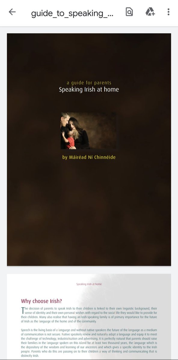 Pleanáil Teanga CCF tweet media