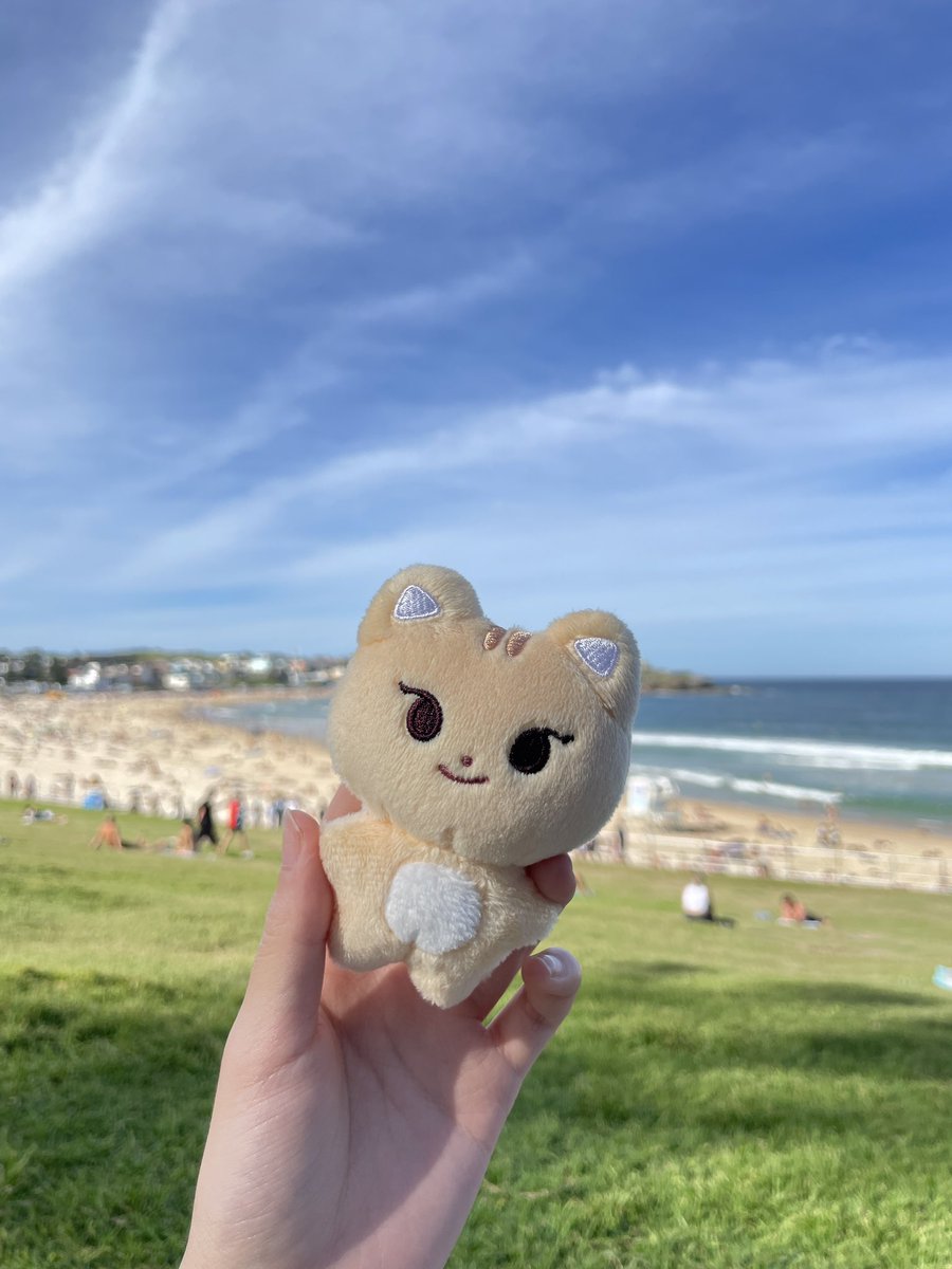 리노가 다시 가고싶어했던 본다이 비치
리냥이랑 오기🐱🤍