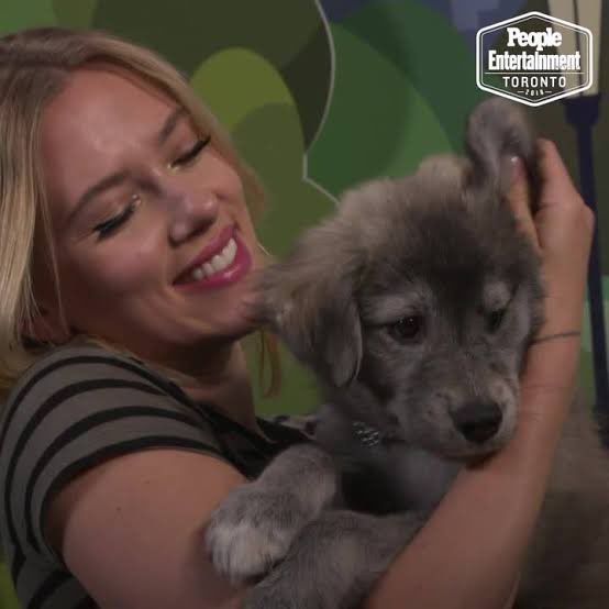 ScarlyTasha's tweet photo. Scarlett with dogs<33 https://t.co/yxCqks3CtS