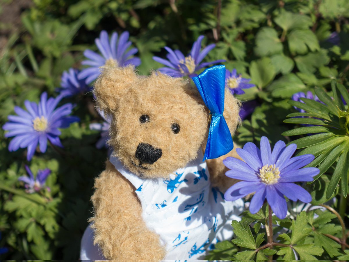 I wish you a wonderful day. 🌸