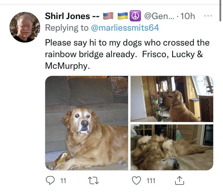 Prof_DFrench's tweet photo. Twitter is so messed up … I saw the absolutely heartbreaking tweet on the left #exhibit1 / then opened up the replies … the first I saw is #exhibit2 https://t.co/NAYnkhpGoK