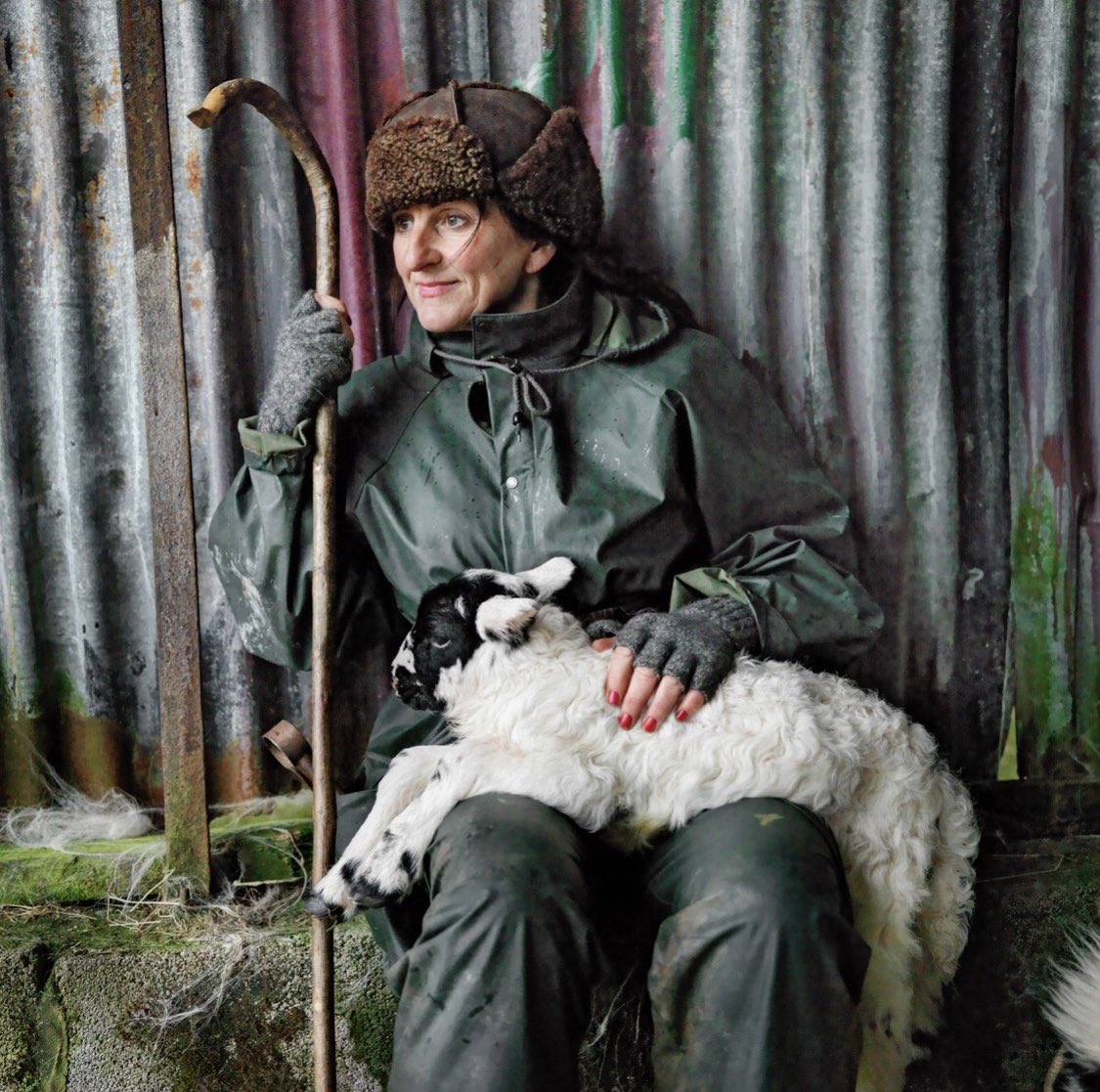 woolismybread's tweet photo. It’s been a challenging night .. new life and loss 🙏🐑❤️… we are tired but  i am happy living the life I chose .. Ruby thrives but sadly Willow passed after giving birth .. she was a great sheep and gave me beautiful daughters of which I will now be mother. #shepherdess #lambs https://t.co/Idu3Rgdi7t