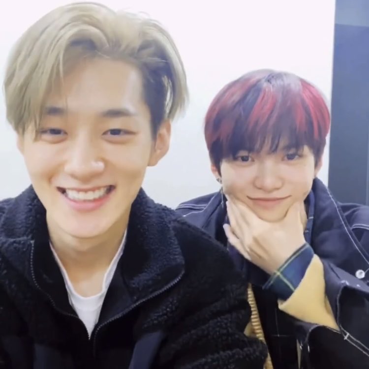 ringr2ngring's tweet photo. 어깨에 고양이는 키우시는건가요 https://t.co/YtY5x9MusB