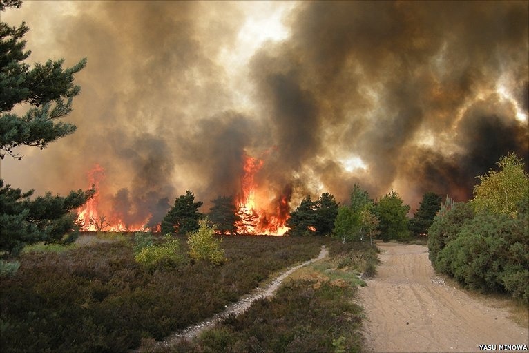 Surrey Fire & Rescue Service tweet media