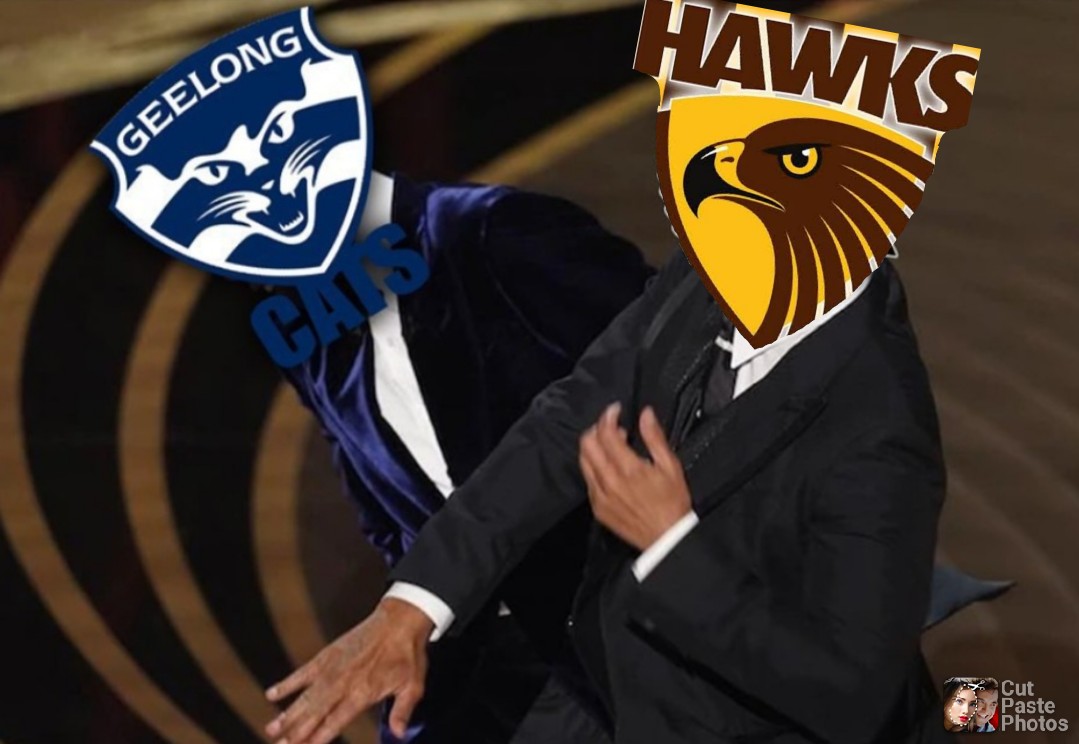 M4_Hawks's tweet photo. Win or lose.. We still hate #GeelongCats with a passion. 
That is all.
#biatchslap
#AFLHawksCats #hawthorn #GoHawks https://t.co/JT1Q9C3RWH