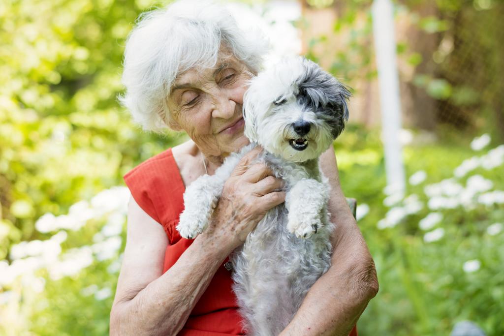 Having a pet can bring joy to your everyday life, no matter your age. However, for older people, pets can become a much-needed companion and friend. What's your favourite pet > ow.ly/WI6C50IHzSi. #PetOwnersIndependenceDay #PureRetirement #EnjoyLaterLife