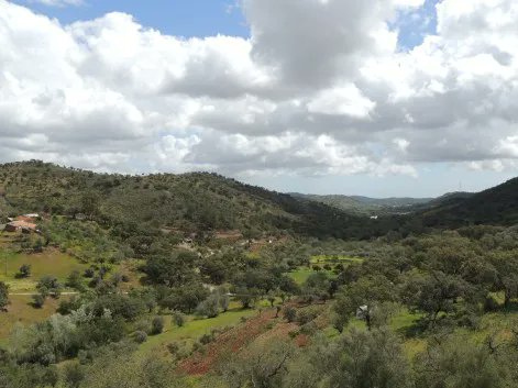 According to old Portuguese weather lore, and if it rains as well then the cow will be fattened. buff.ly/2GoNsfE