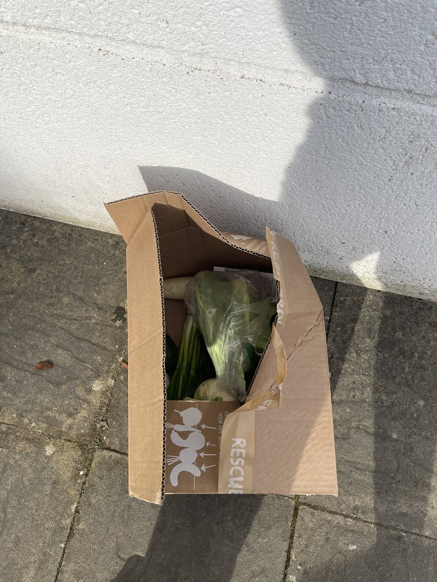 Sophielipton's tweet photo. @OddboxLDN please can you leave my box in a safer place as this is the second time my delivery has been ruined! This time someone’s stolen my greens… more wasteful to have a ruined box and not be able to use it than for you to put it inside a building. https://t.co/LivAIAm4Ut