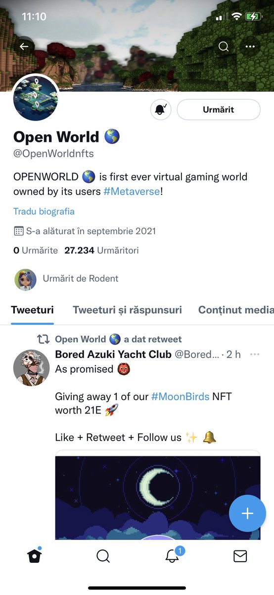 Andrei Moise tweet media