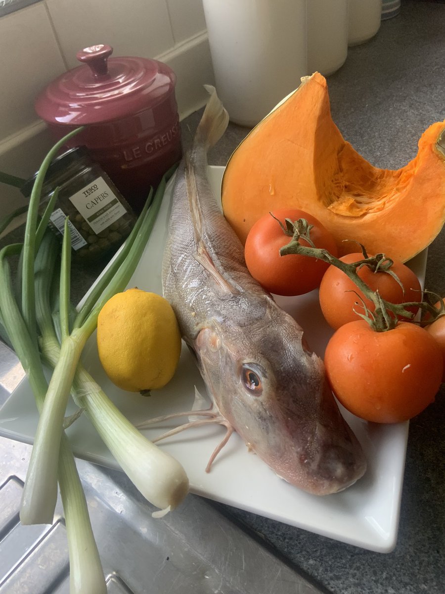 BeeNubian's tweet photo. Happy Monday Bank holiday. Today is Red Gurnard day . #ScaryFish @leesah_zimbo @SMununuri @Empress00213061 @ngoni_ @FireChief_zw @TheLifeZoomer @imutsungi @PrimtheRose @Chptr31 @enyambi @TeamFuloZim @KingJayZim @IamSojiSamuel
#SheltonMununuriReady https://t.co/xWOEftMKxn