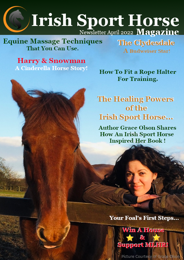 MagazineIrish's tweet image. Hey Everyone, Check out the Easter Edition of Irish Sport Magazine. Available to Read Free on our Website Now;-) irishsporthorsemagazine.com/magazine/