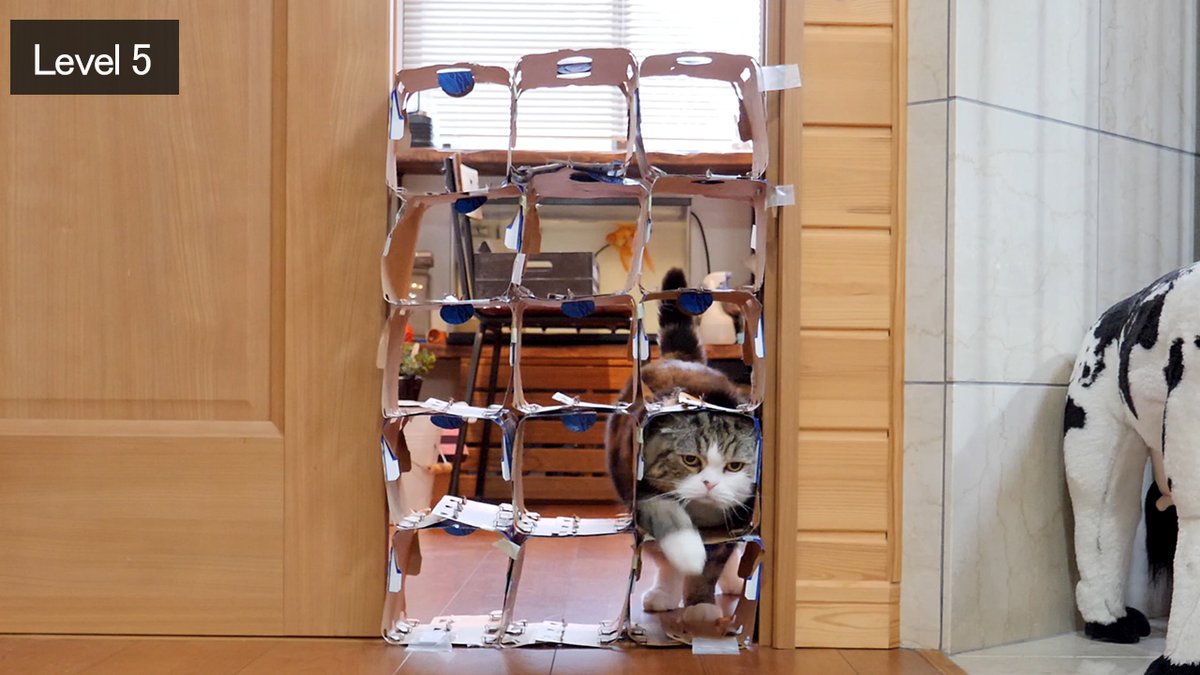 レベル５から始めたら最後まで飛ばない説なねこ。-When starting at level 5, Maru never jumps over.- youtu.be/iJoBD66XmsA <a href="/YouTube/">YouTube</a>より 

#猫動画 #まる #ビール箱チャレンジ #Maru #Cats