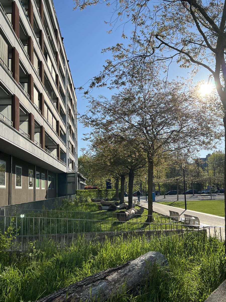 shloobee's tweet photo. Another excellent morning. Another trip out first thing. Tomorrow I keep the habit going and do it on my own 🤞🏻#Onwards #FuckAgoraphobia #Agoraphobia #Recovery #NewHabits #MentalHealth #OCD #Depression #Sober #Switzerland #Fribourg #Perolles https://t.co/Afd3FXMLE4