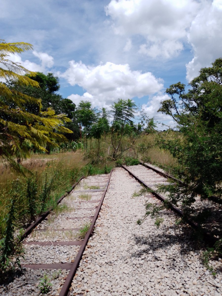 PacheduZW's tweet photo. On this day in 1980, ZANU-PF inherited a functional railway system, but they destroyed the railway industry through massive looting and mismanagement.

Young people, register to vote!

#RegisterToVoteZW https://t.co/qWQYE8VMgY