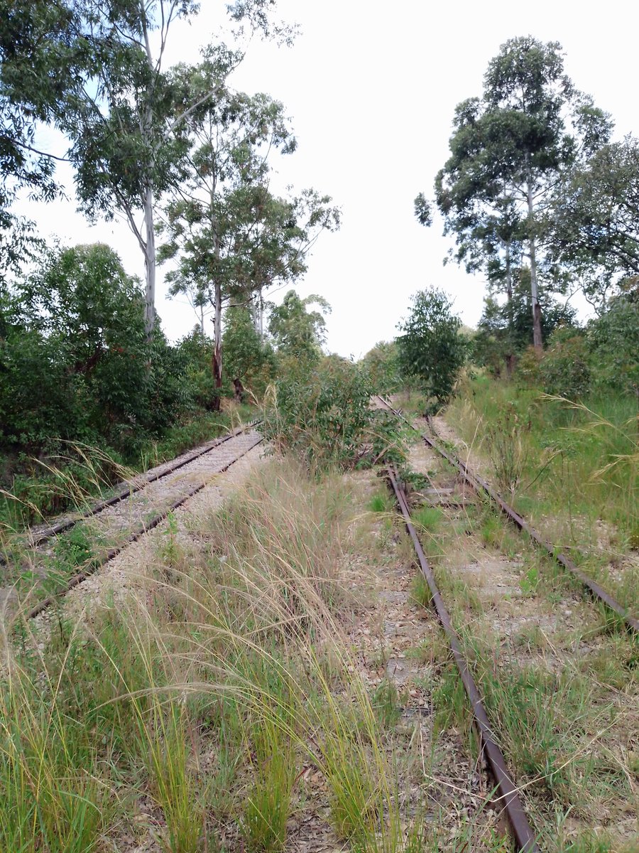PacheduZW's tweet photo. On this day in 1980, ZANU-PF inherited a functional railway system, but they destroyed the railway industry through massive looting and mismanagement.

Young people, register to vote!

#RegisterToVoteZW https://t.co/qWQYE8VMgY