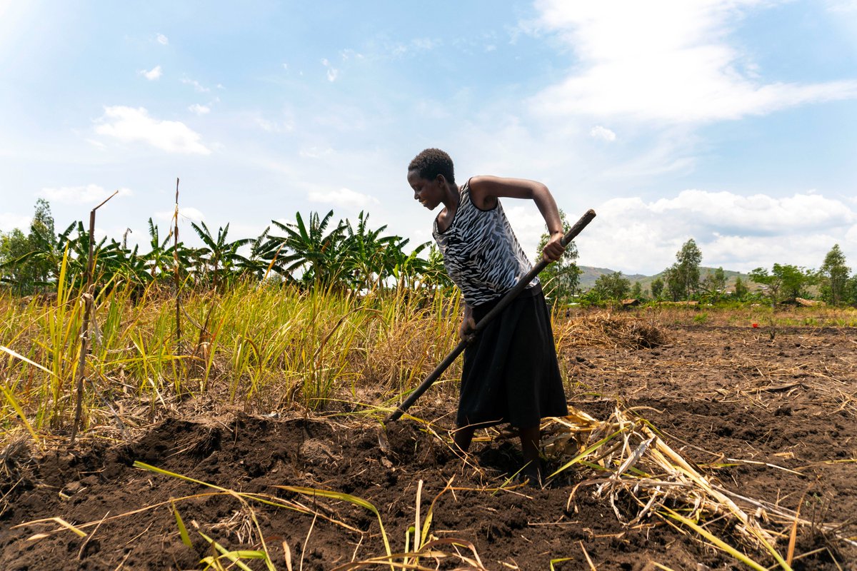 UNHCR_DRC's tweet photo. 📍#SouthKivu

The DRC government🇨🇩 have made 500 hectares of land available for agriculture to enhance self-reliance and peaceful cohabitation between refugees and host communities.

The local market in Baraka is always full of fresh farm produce! 🌽🍅🥑🥕 https://t.co/0N5GJaJIcN