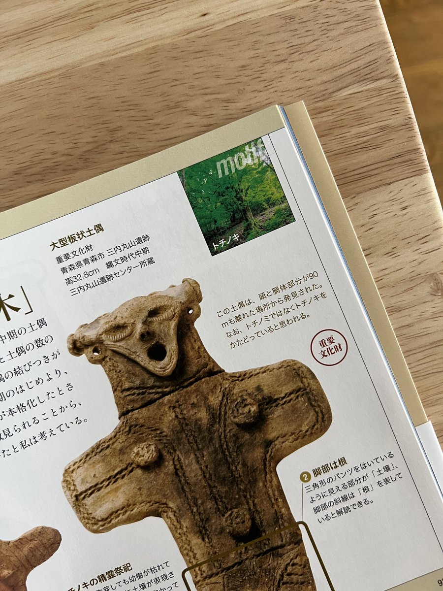 ちょっとびっくりしたのはこれ。三内丸山の板状土偶はトチノキ説だ