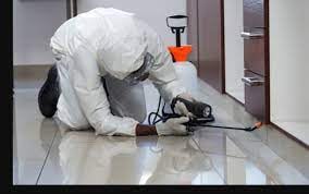 Postad5's tweet image. Same Day Pest Inspection Services: How To Hire Them
bit.ly/3MUAEQW
#samedaypestcontrol #pestcontrol #pestinspection #pestexterminator #Adelaide